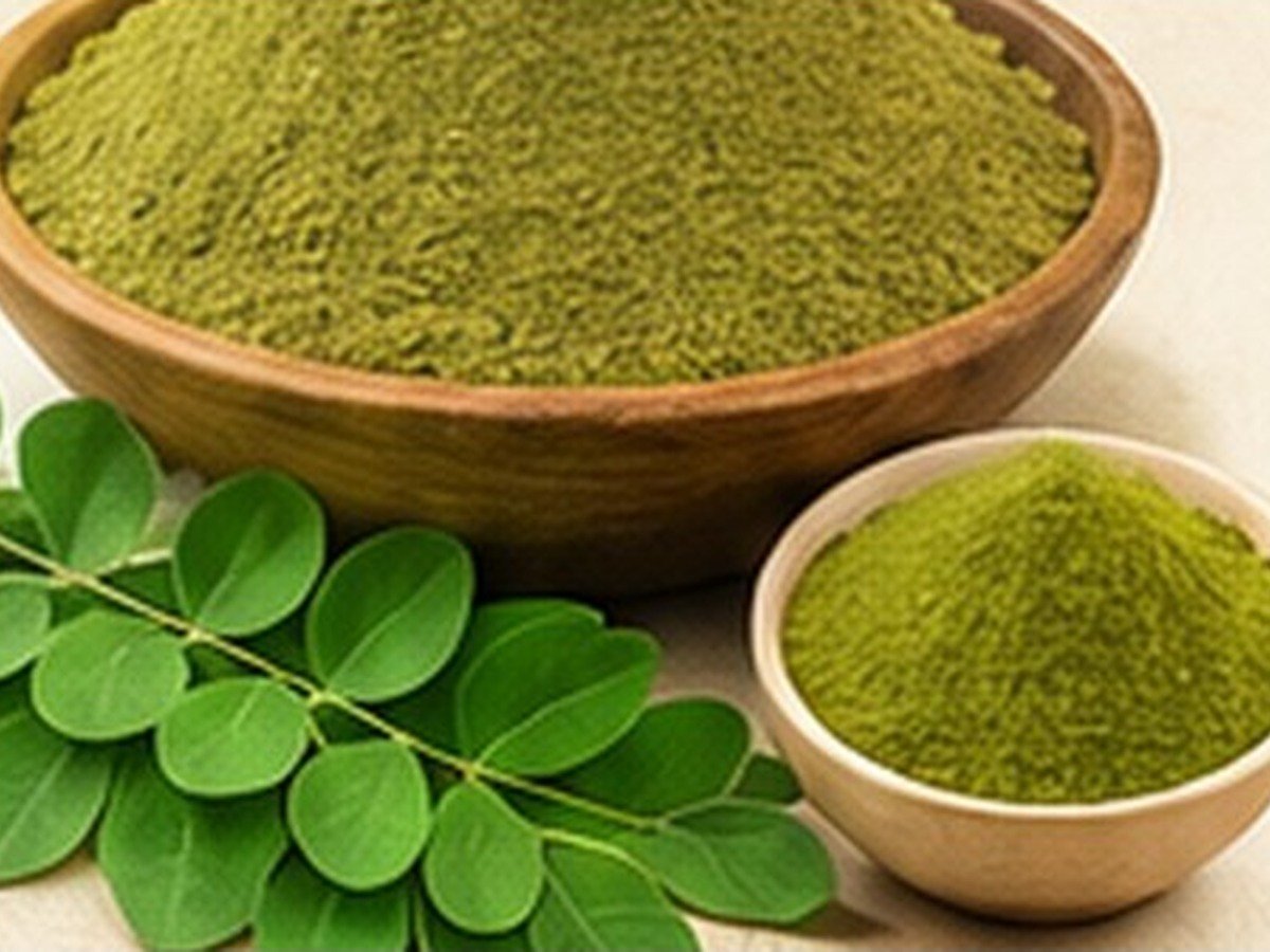 Moringa Powder